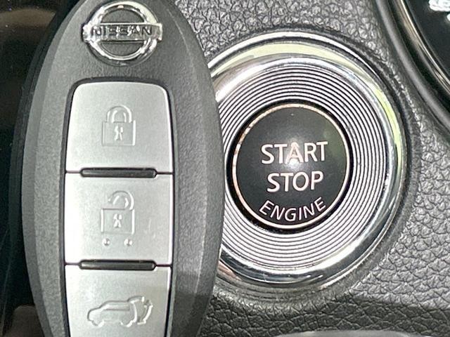 26230855_carP_l_14.jpg
