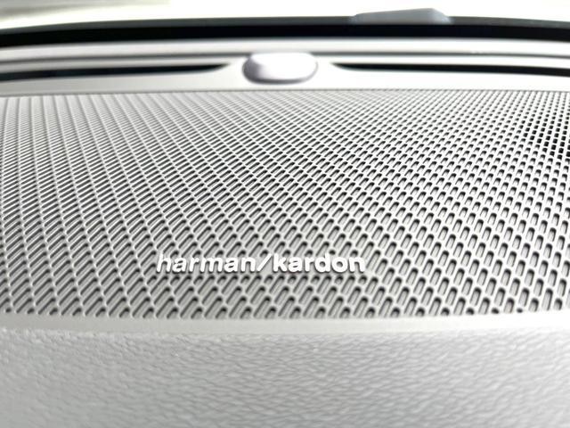 25405233_carP_l_10.jpg