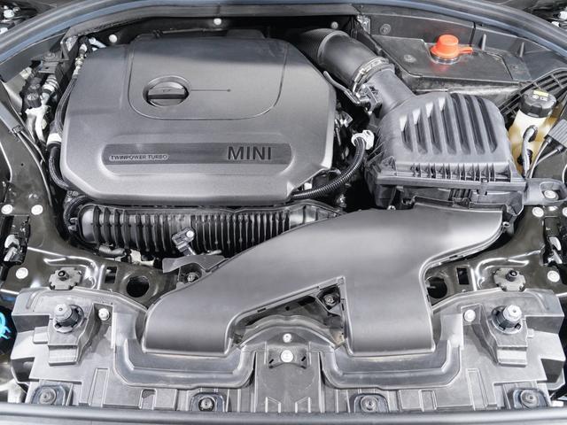 24762957_carP_l_14.jpg