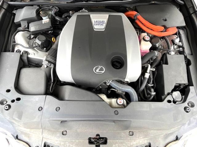 26084917_carP_l_18.jpg