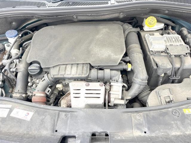 25904105_carP_l_16.jpg