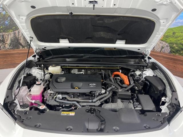 25015421_carP_l_20.jpg