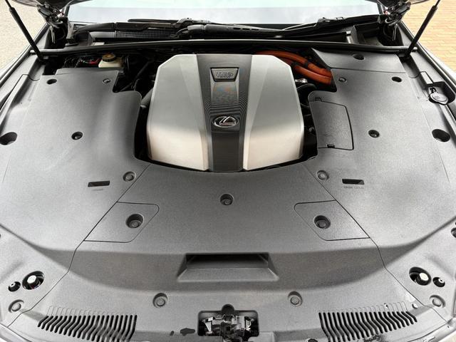 24415822_carP_l_14.jpg