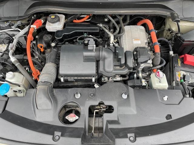 26231076_carP_l_16.jpg