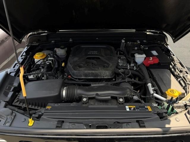 25324395_carP_l_20.jpg