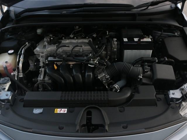 25699524_carP_l_17.jpg