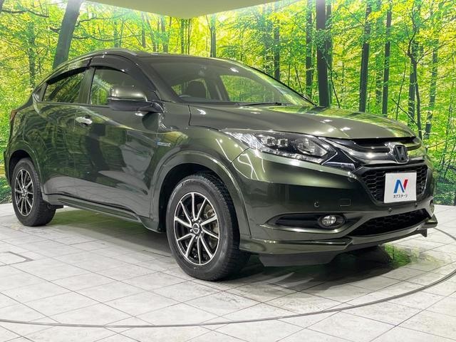 26491663_carP_l_11.jpg
