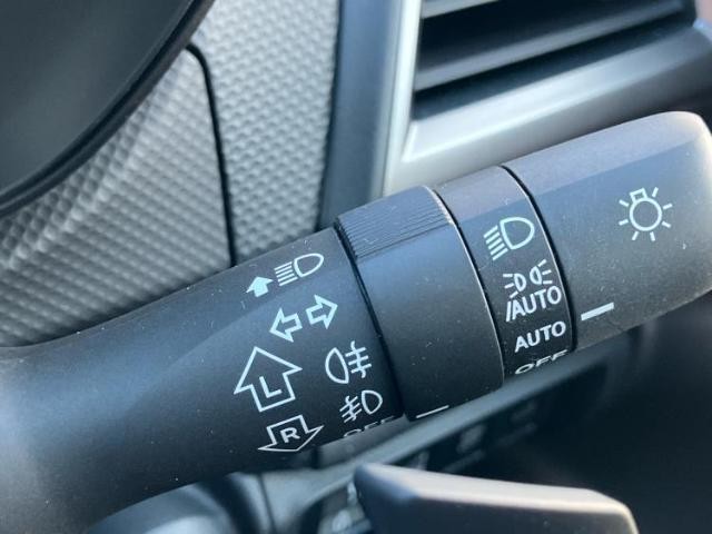 25708743_carP_l_9.jpg