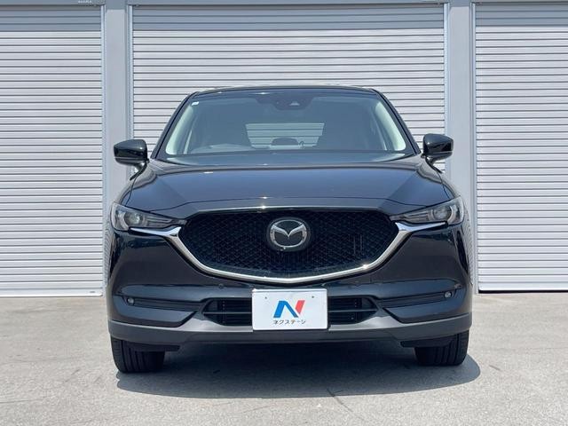 25405355_carP_l_9.jpg
