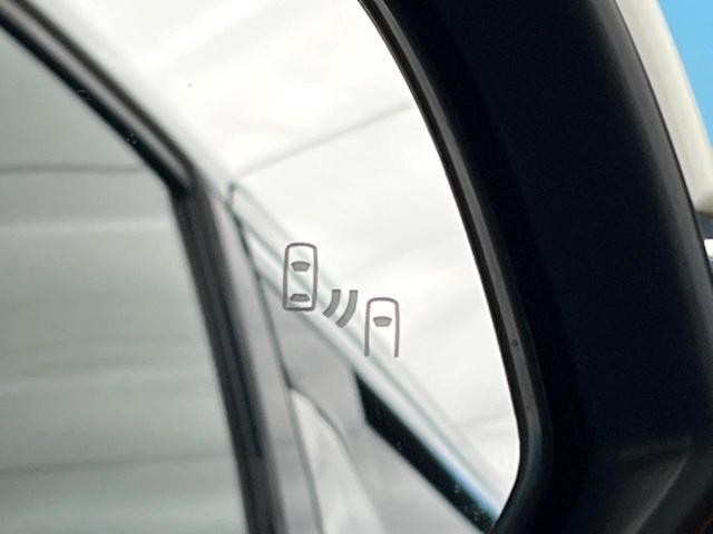 25904214_carP_l_13.jpg