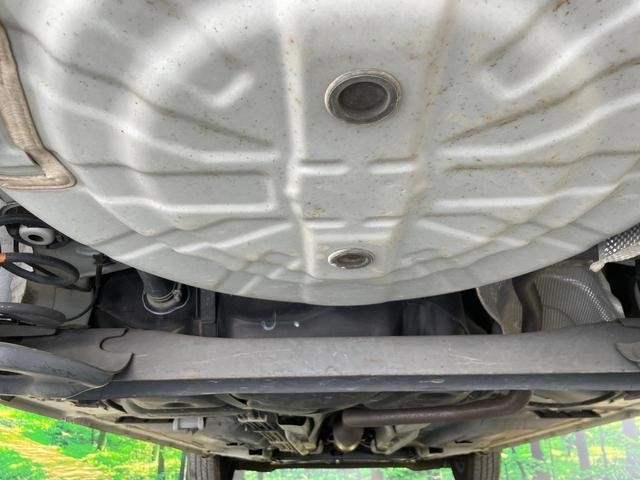 25364479_carP_l_18.jpg