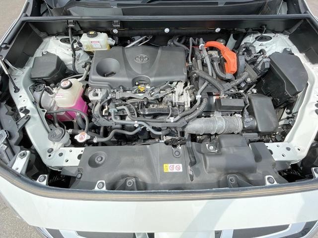 25612467_carP_l_20.jpg