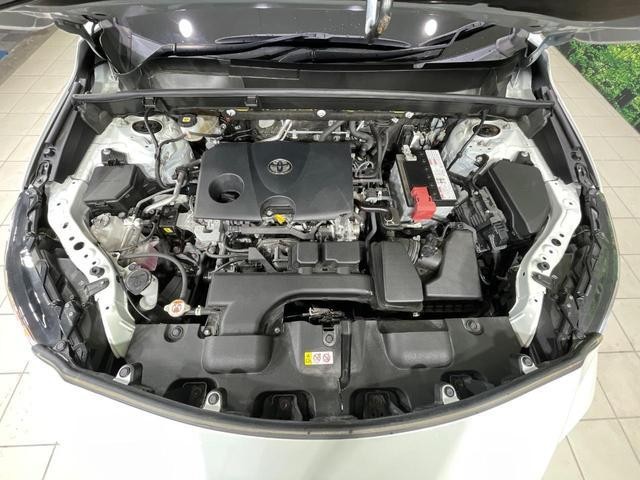 26230994_carP_l_16.jpg