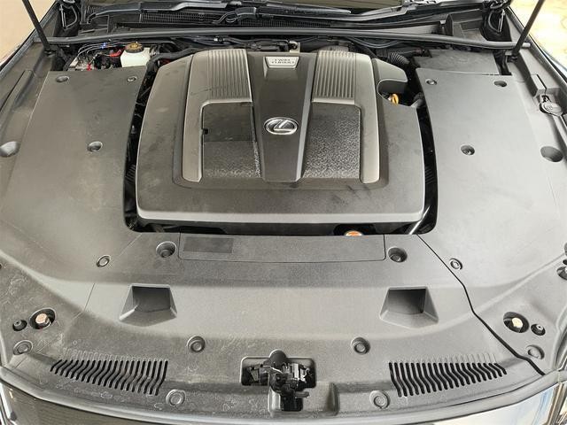 25710166_carP_l_12.jpg