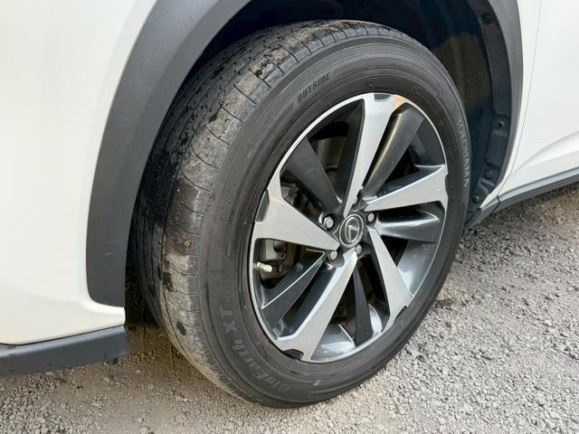 24112668_carP_l_15.jpg
