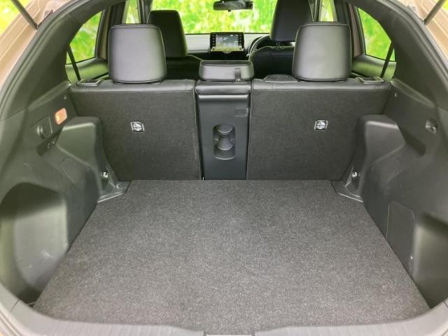 24747459_carP_l_17.jpg