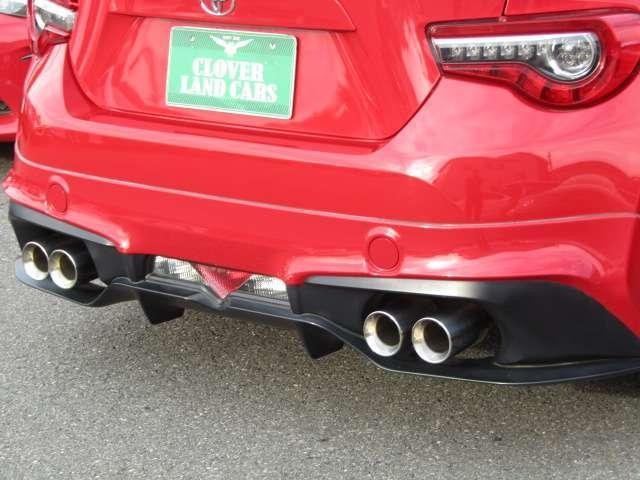 26246975_carP_l_17.jpg