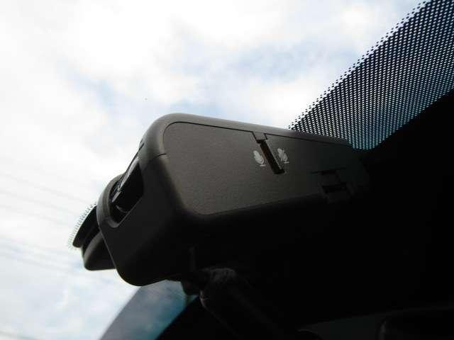 26246975_carP_l_8.jpg