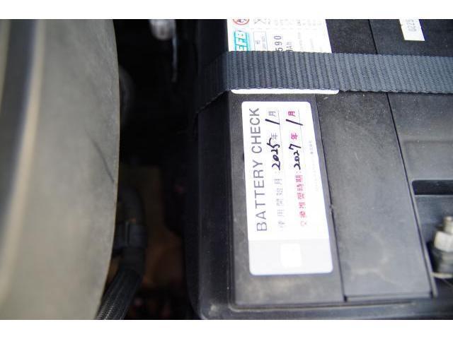 22861237_carP_l_6.jpg