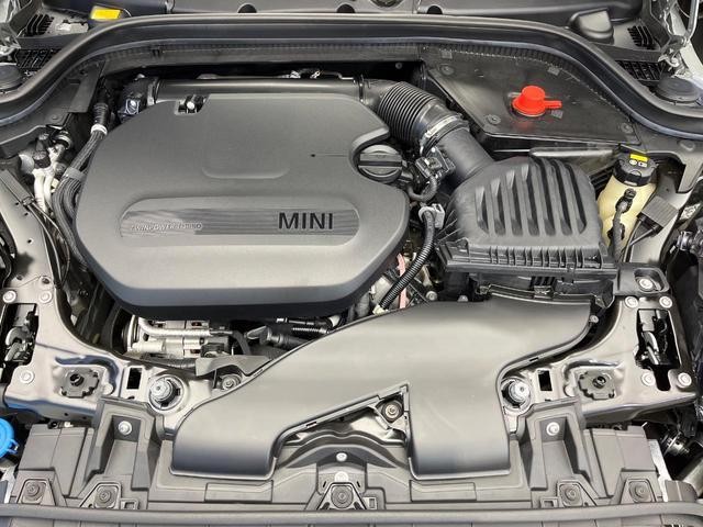 25138052_carP_l_20.jpg
