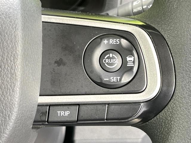 25923066_carP_l_10.jpg