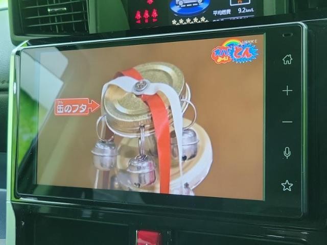 24253986_carP_l_6.jpg