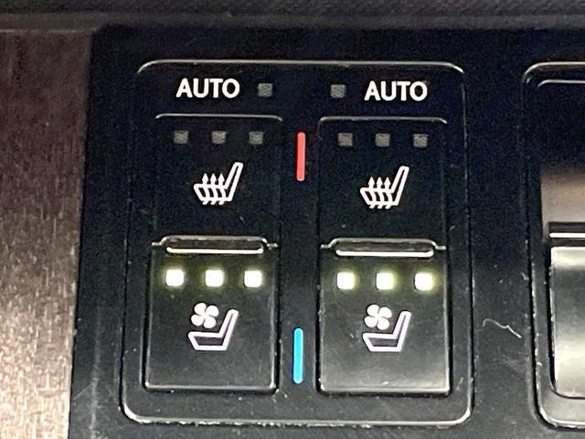 25673863_carP_l_13.jpg