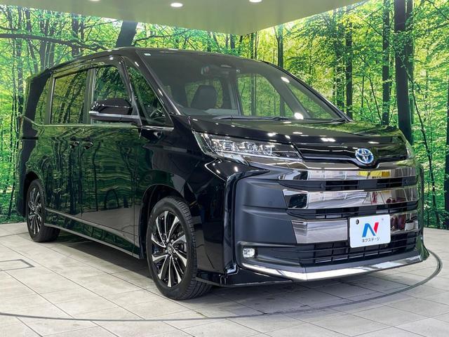 24767410_carP_l_12.jpg