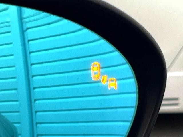 25179348_carP_l_14.jpg