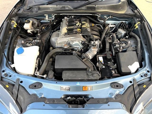 25179348_carP_l_18.jpg