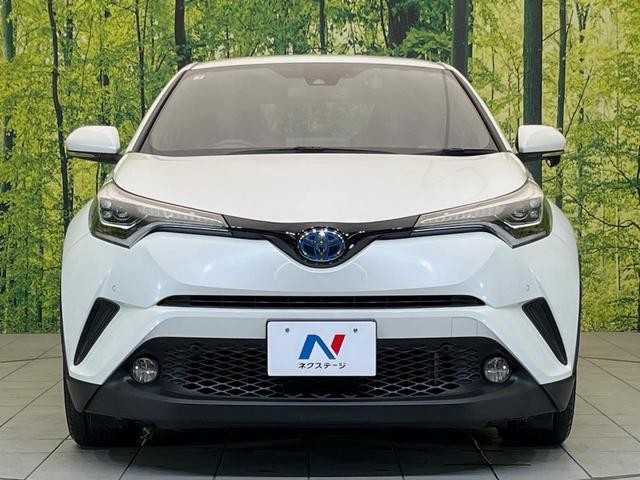 26751039_carP_l_8.jpg