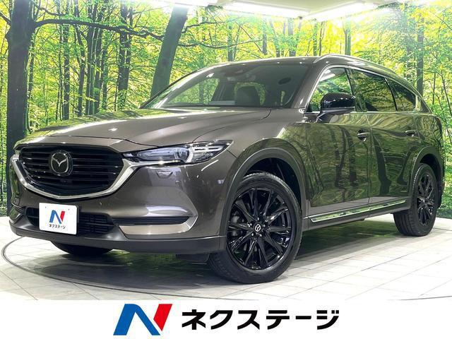 23615839_carP_l_1.jpg