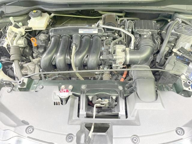 25904369_carP_l_16.jpg