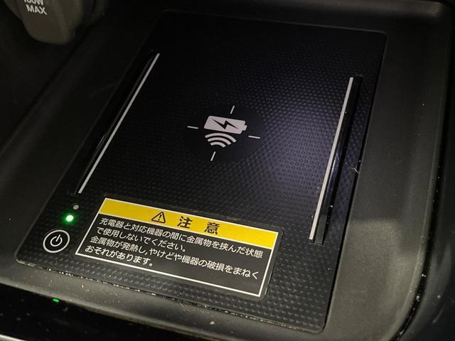 23735117_carP_l_10.jpg