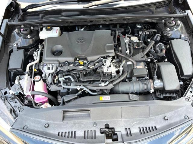 26002663_carP_l_18.jpg