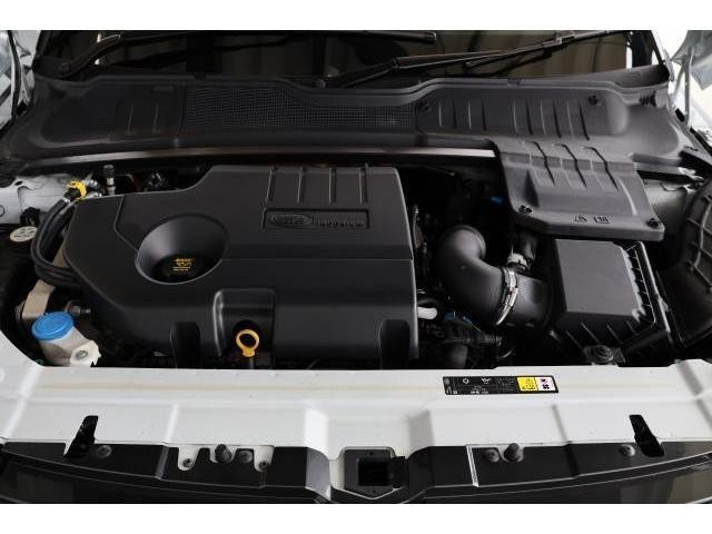 24877058_carP_l_17.jpg