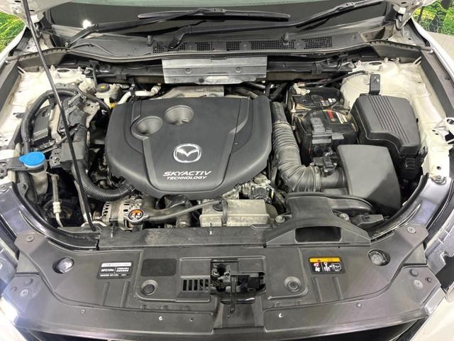 25904424_carP_l_18.jpg