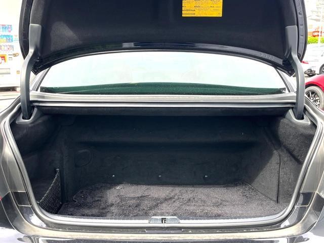 26084919_carP_l_7.jpg