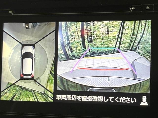 26491688_carP_l_4.jpg