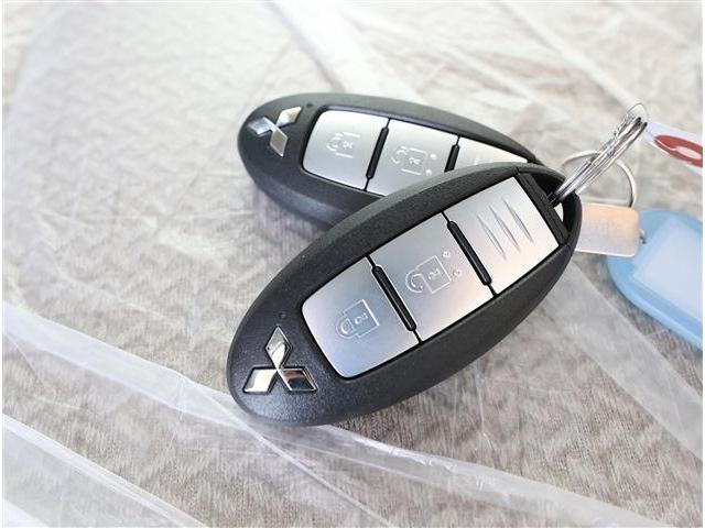 24625737_carP_l_11.jpg