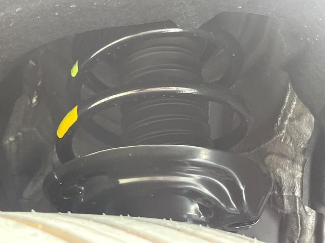 24787682_carP_l_20.jpg