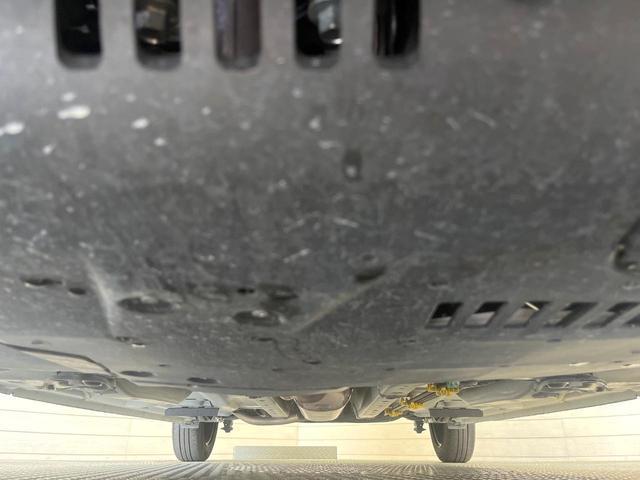 24767532_carP_l_18.jpg