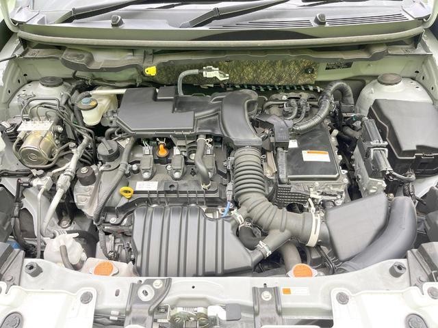 25694183_carP_l_12.jpg