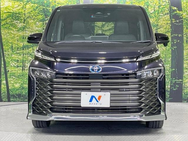 25076261_carP_l_9.jpg