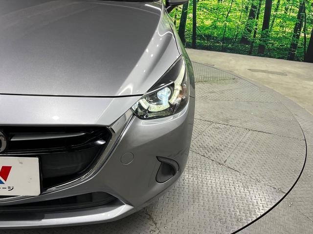 26063921_carP_l_6.jpg