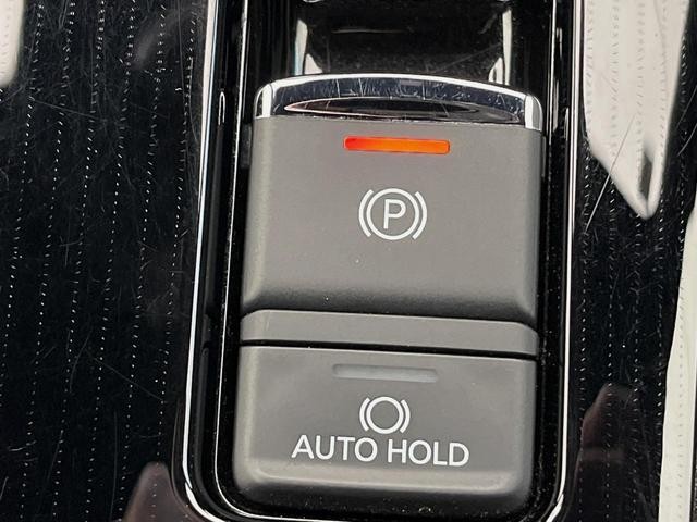 24849373_carP_l_19.jpg