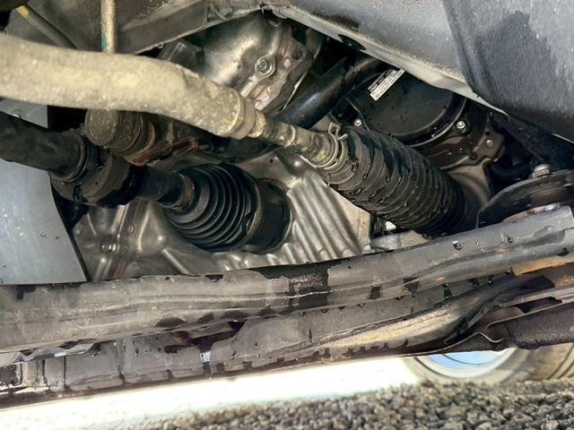 24112686_carP_l_14.jpg