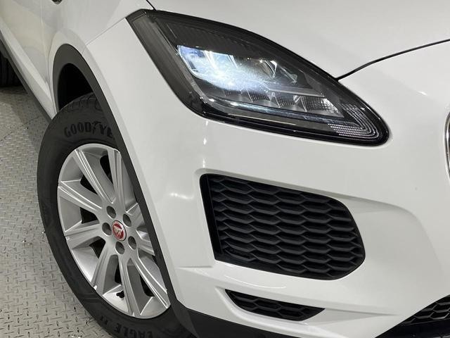 26623402_carP_l_16.jpg