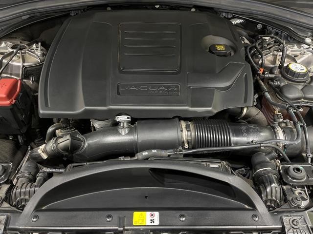 26623403_carP_l_18.jpg