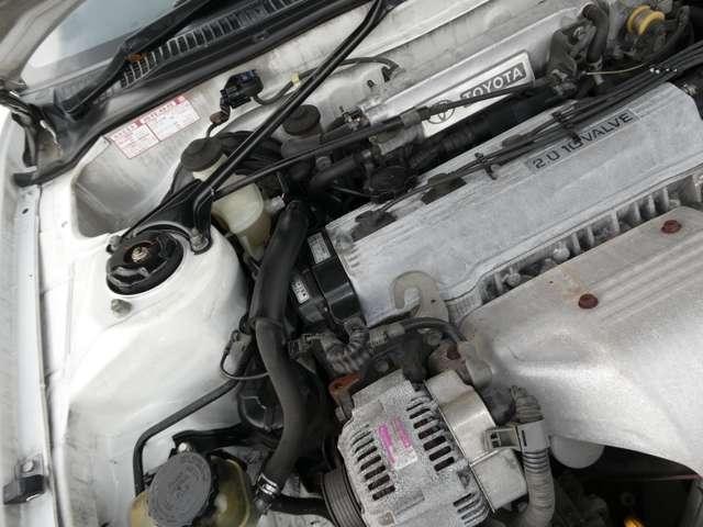 25730088_carP_l_7.jpg